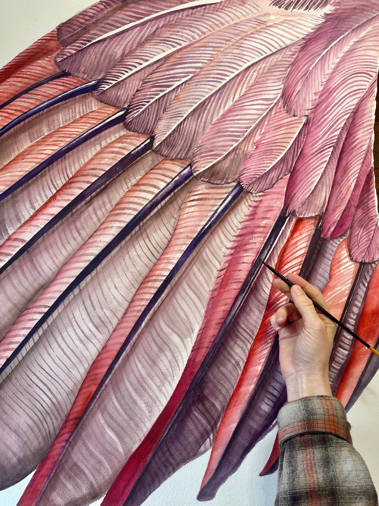 Northern Cardinal Wing - Watercolor Art Print
