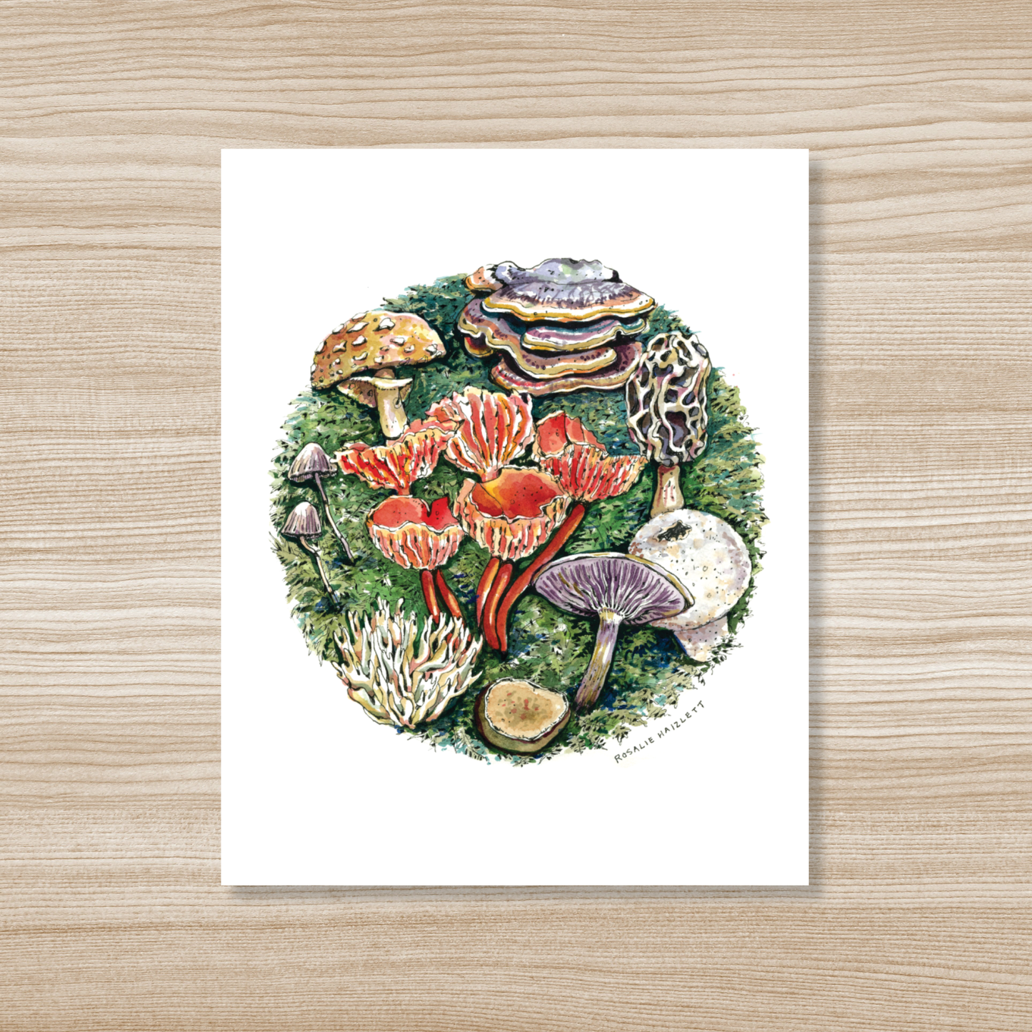Forest Mushrooms Watercolor Art Print
