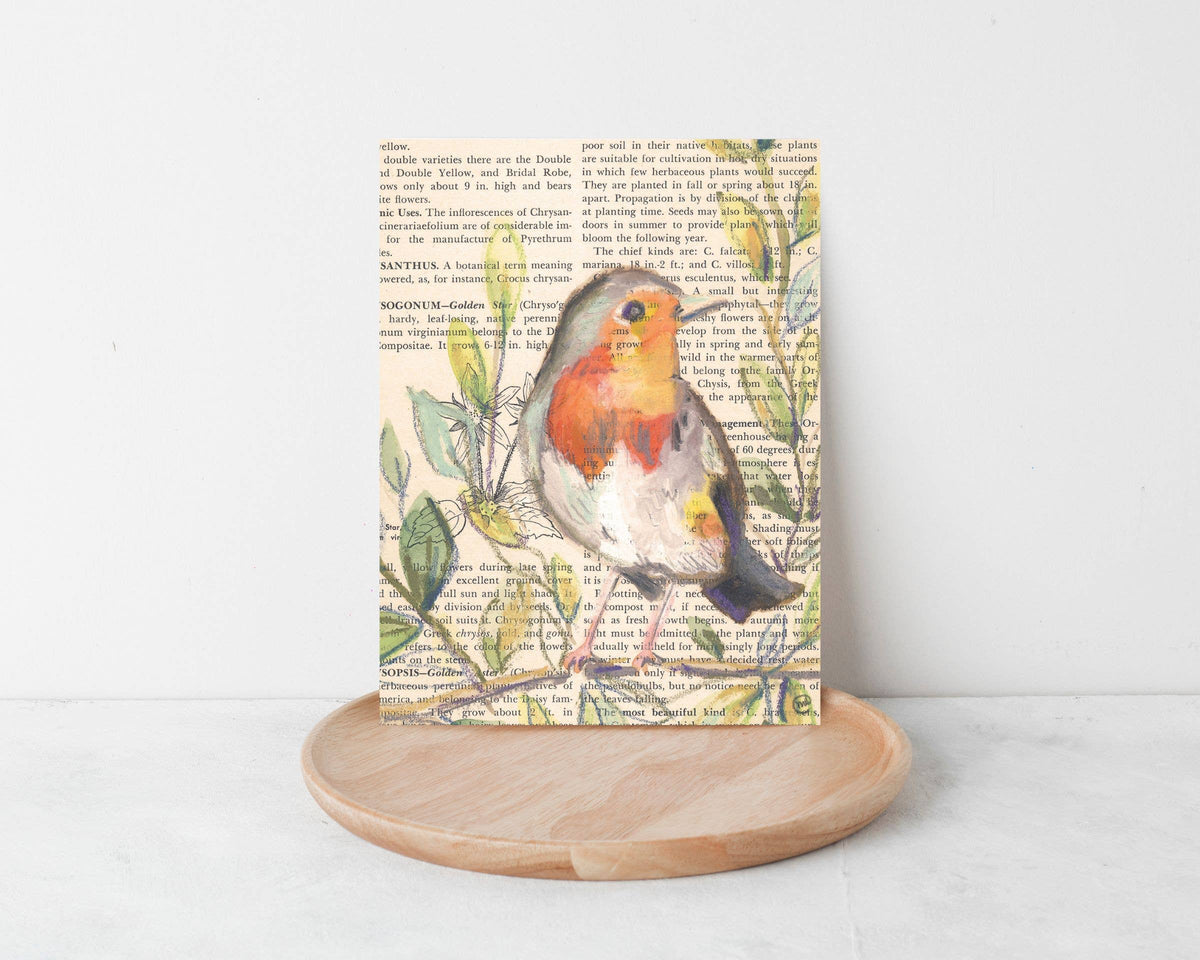 Wild Bird Cards Boxed Set of 9