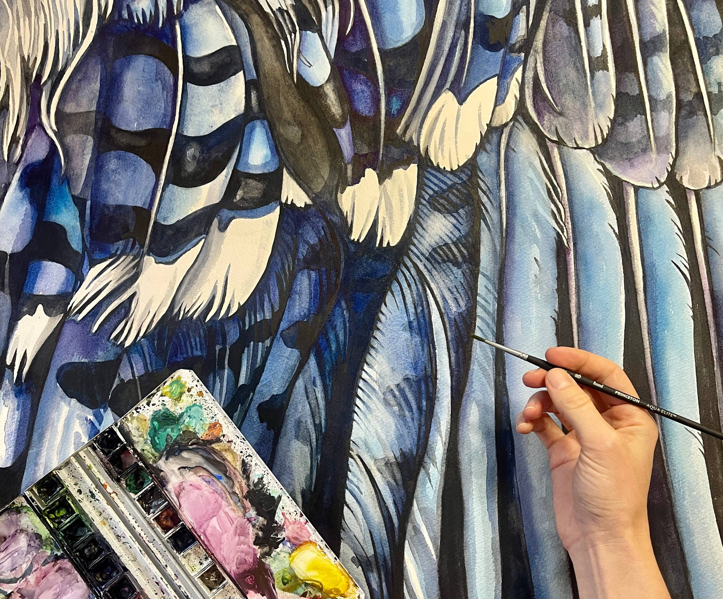 Blue Jay Wing - Watercolor Art Print