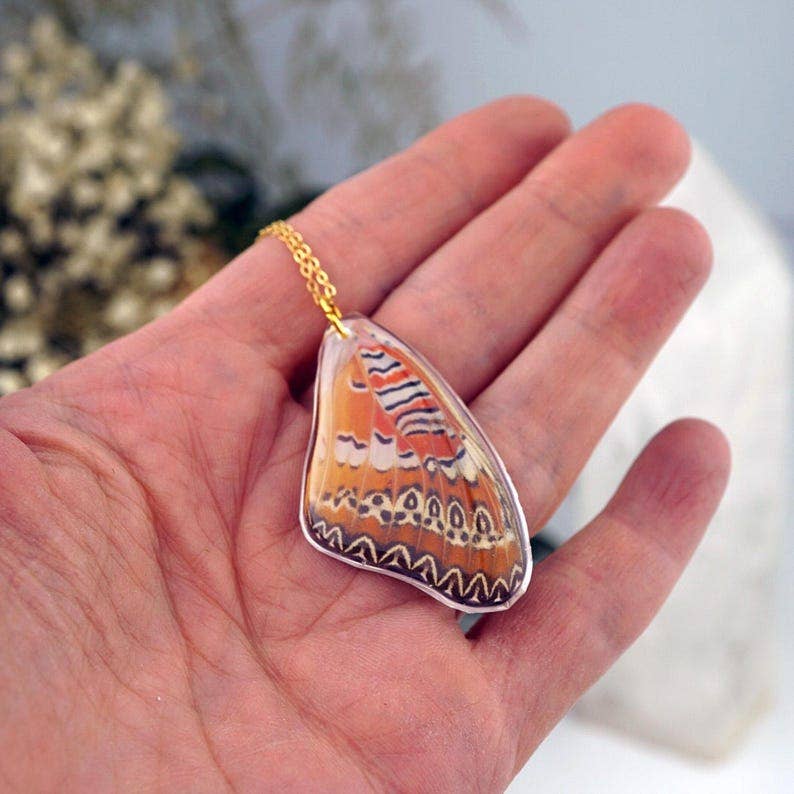 Cethosia Butterfly Wing Necklace