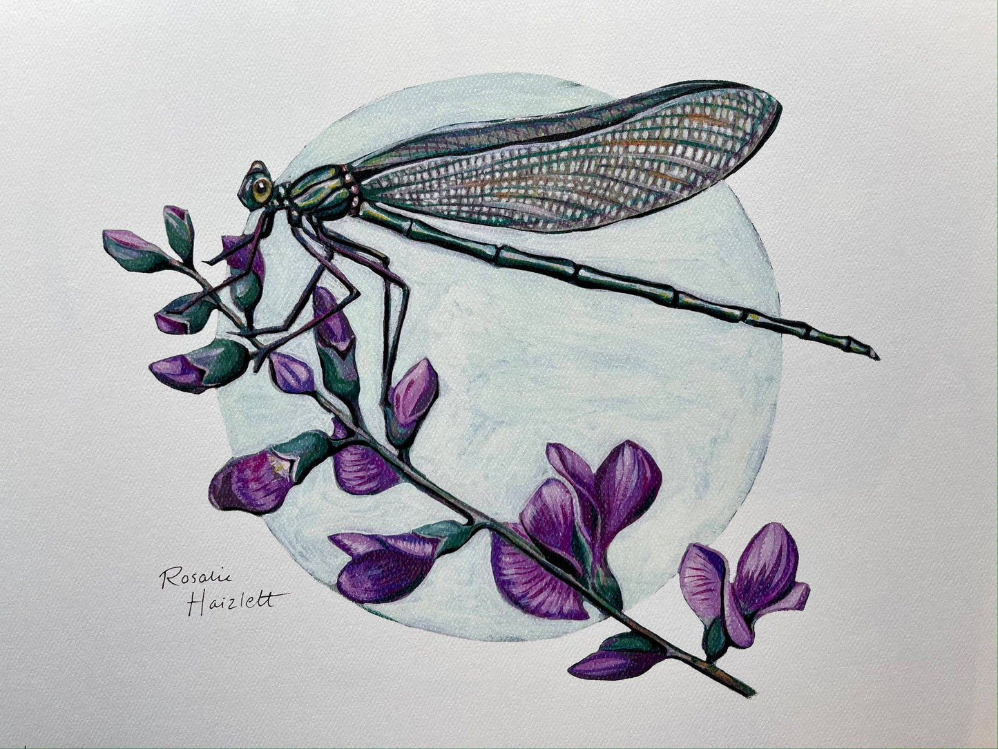 Jewelwing Damselfly - Fine Art Print