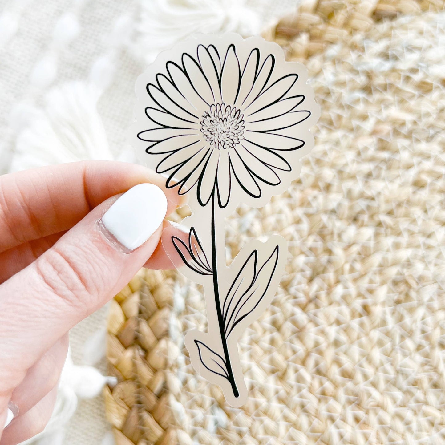 September Birth Month Flower: Aster Sticker