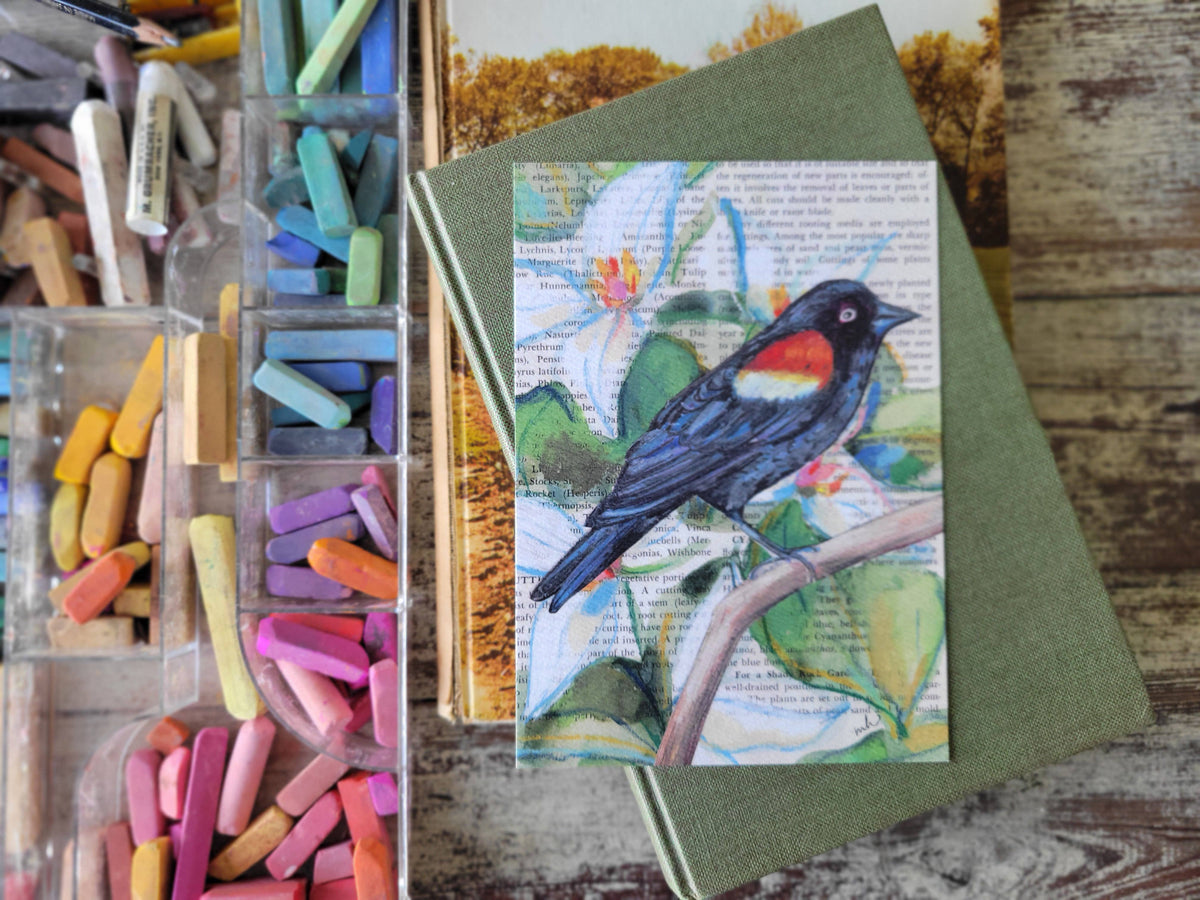 Red-Winged Blackbird Mixed Media Bird Print