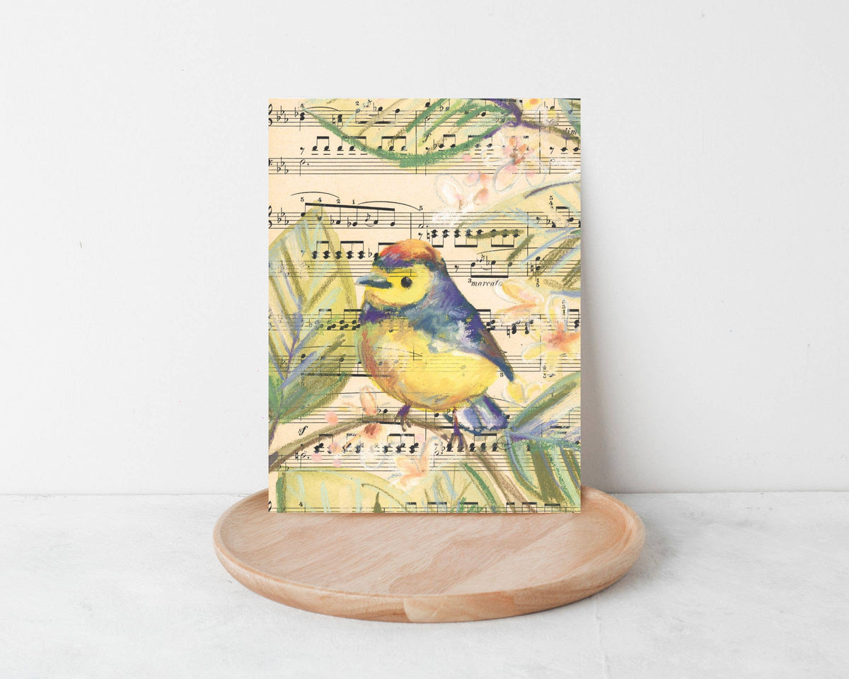 Wild Bird Cards Boxed Set of 9
