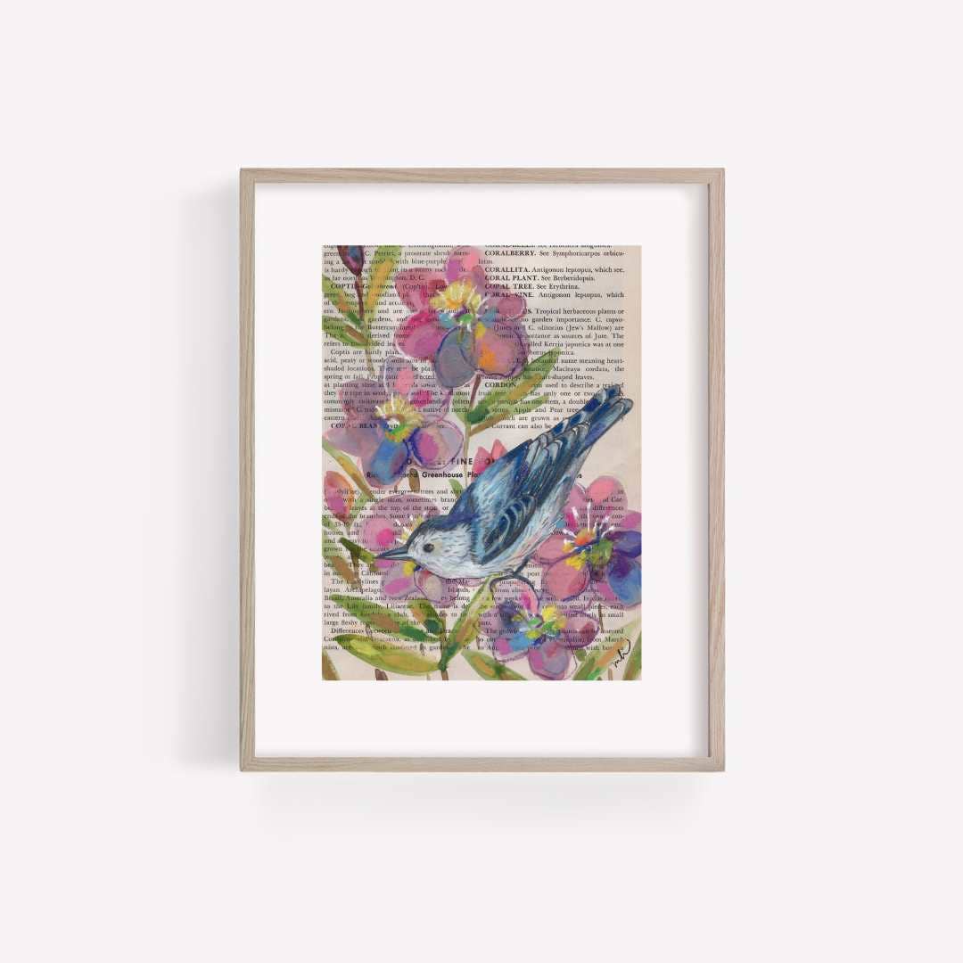 Nuthatch Mixed Media Bird Print