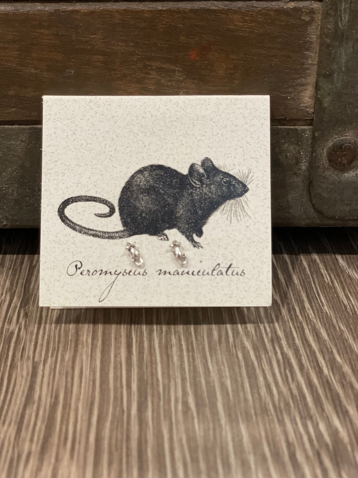 Natural History Collection