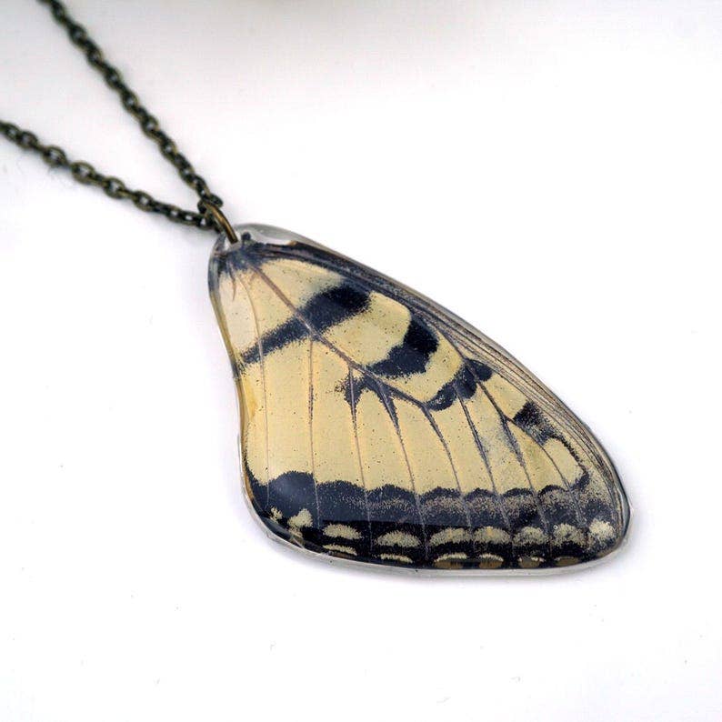 Eastern Tiger Swallowtail Wing Necklace