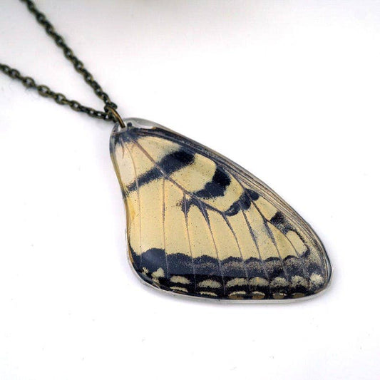 Eastern Tiger Swallowtail Wing Necklace