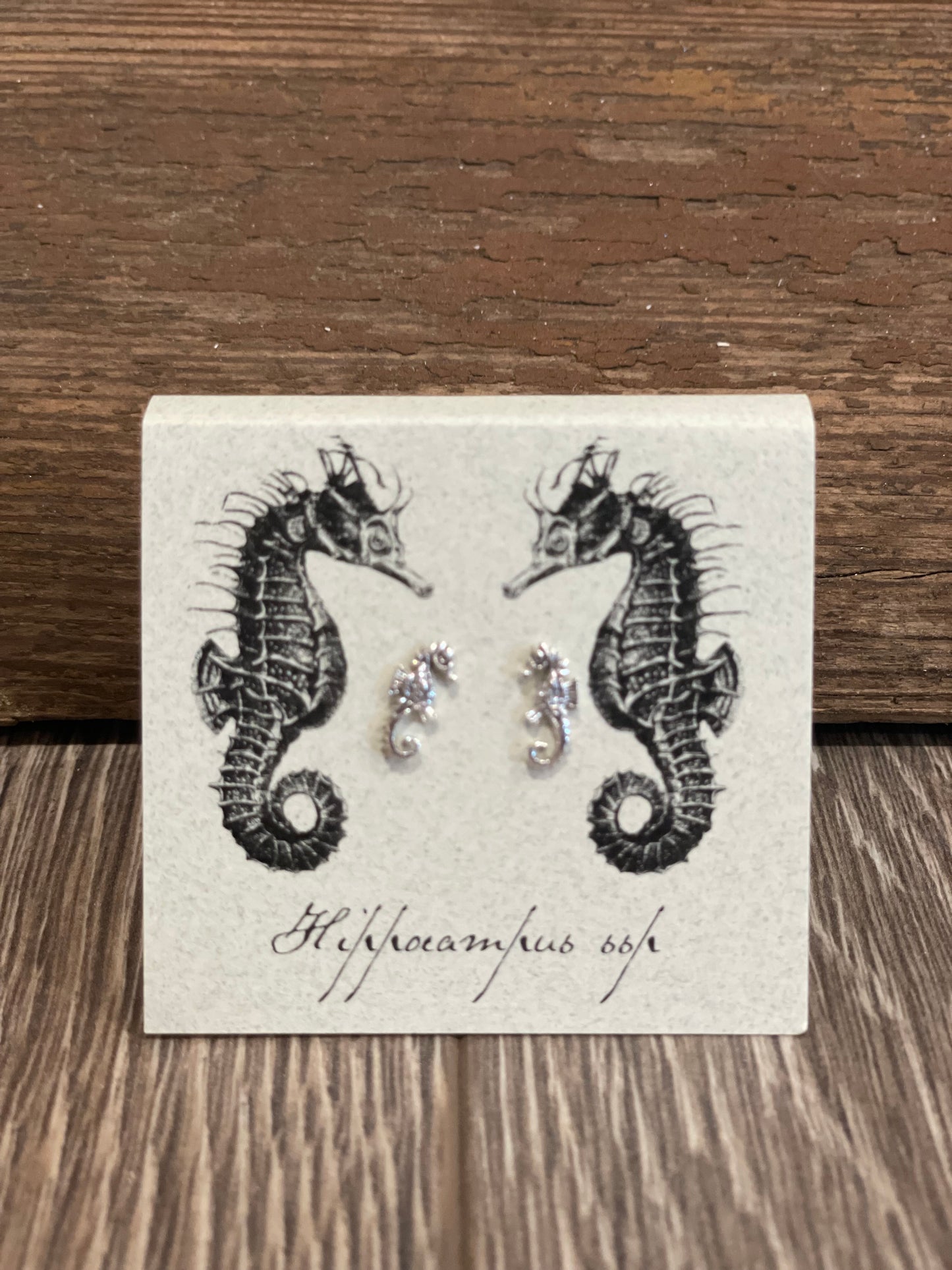 Natural History Collection