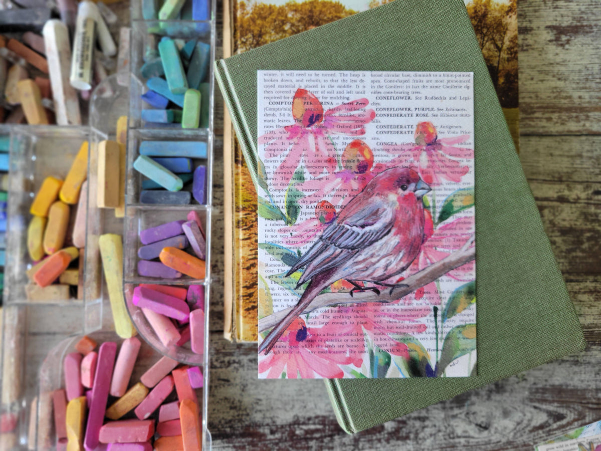 House Finch Mixed Media Bird Print