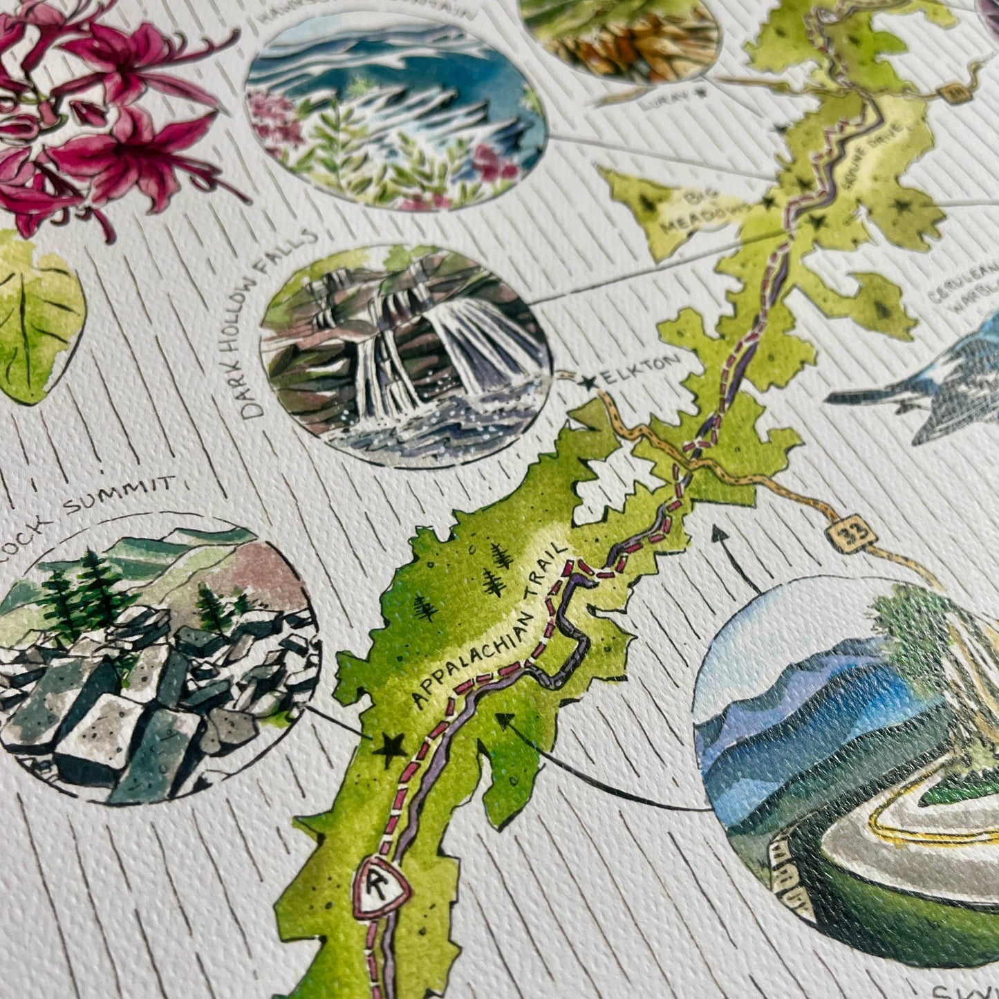 Shenandoah National Park Illustrated Map