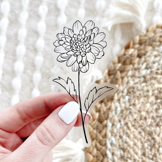 November Birth Month Flower: Chrysanthemum