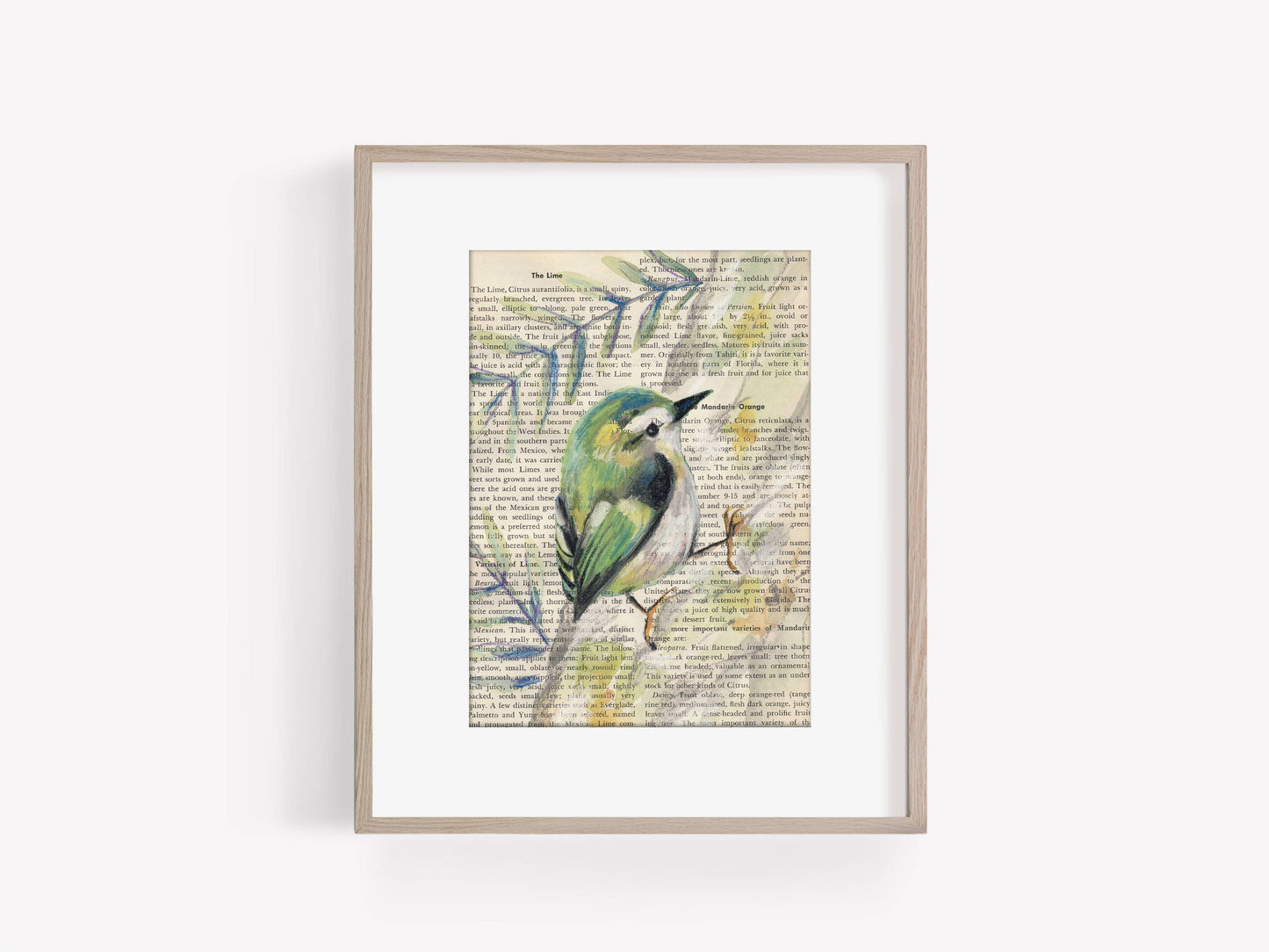 Rifleman Bird Painting on Gardening Book Page Print, 5x7