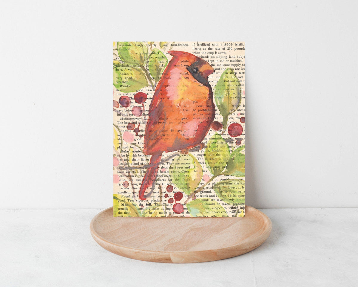 Wild Bird Cards Boxed Set of 9