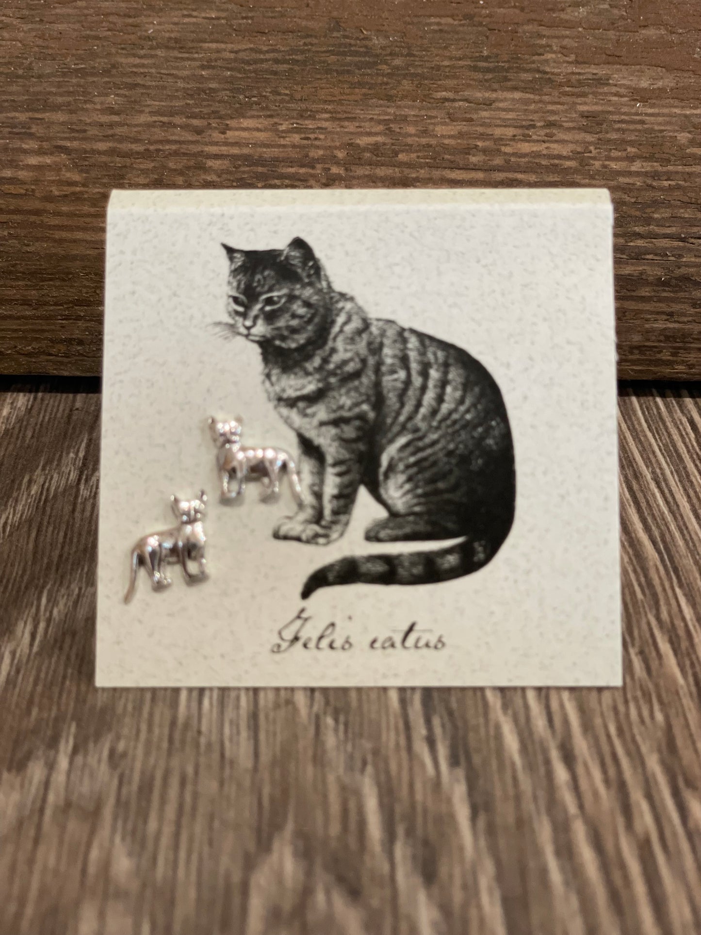 Natural History Collection