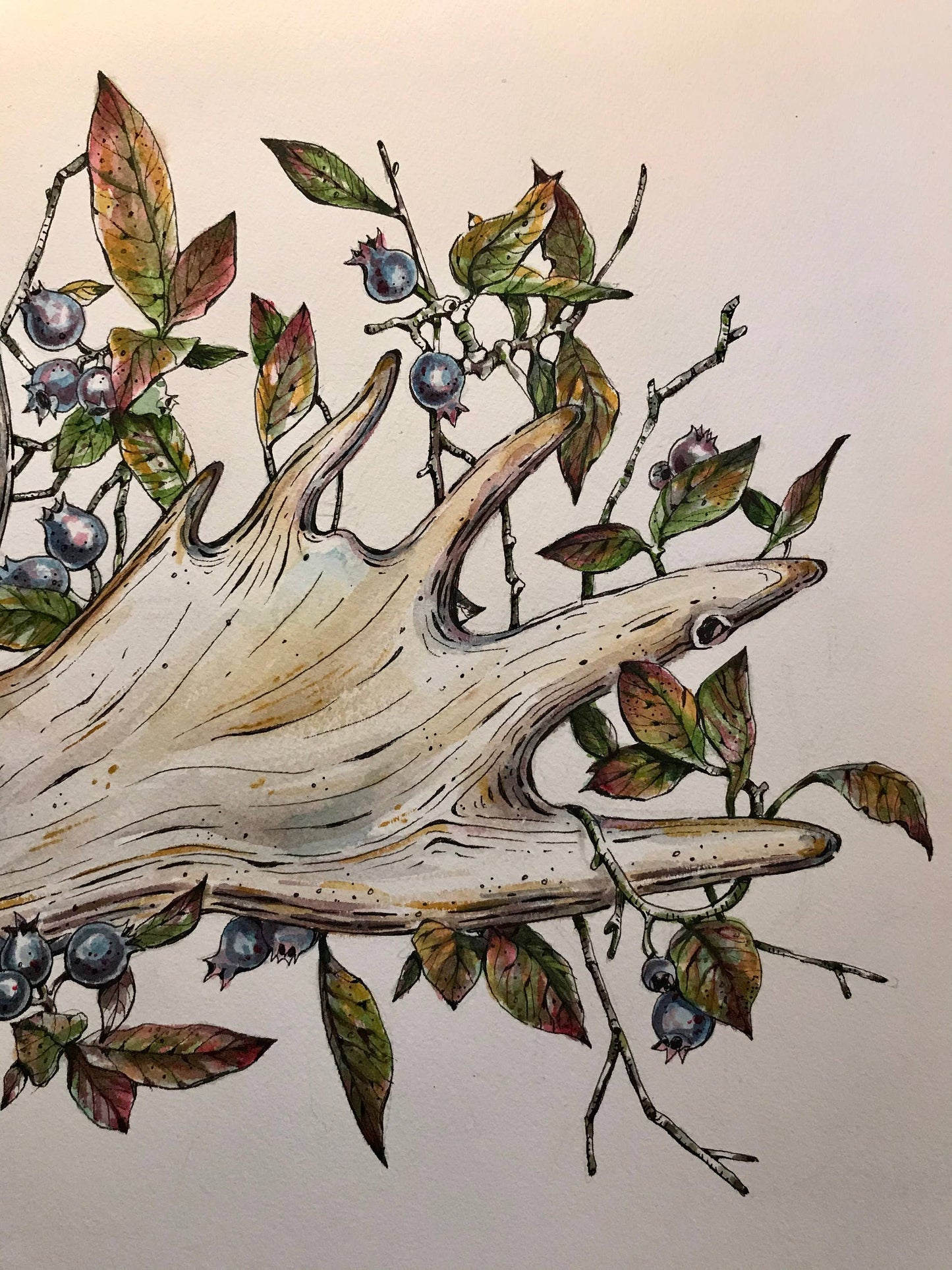 Moose Antler Watercolor Art Print