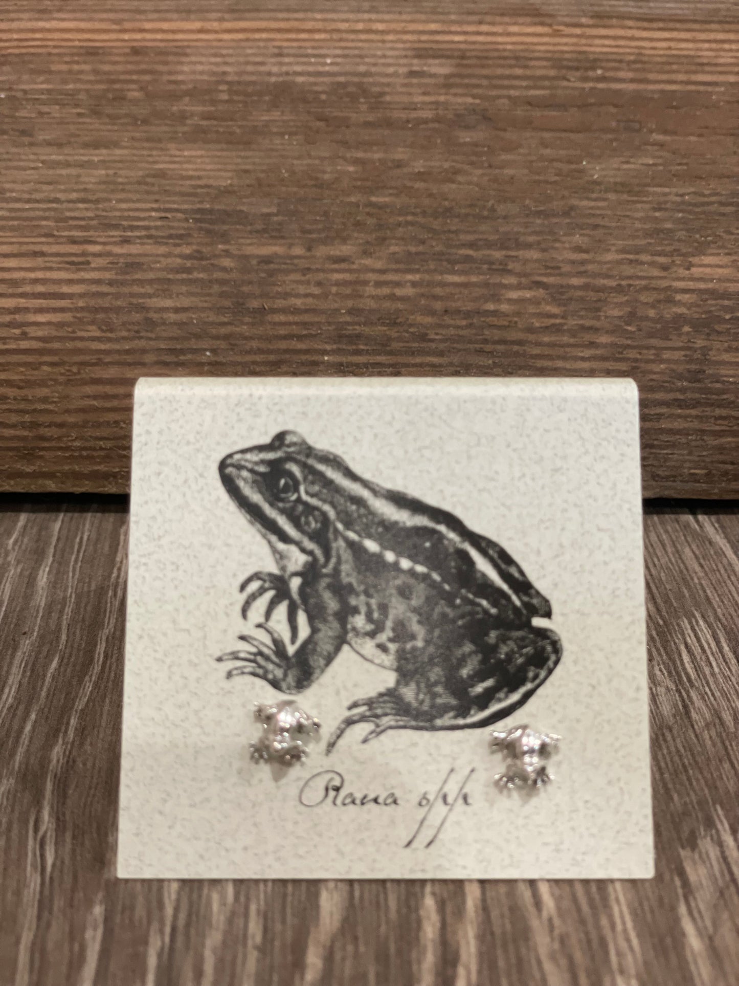 Natural History Collection