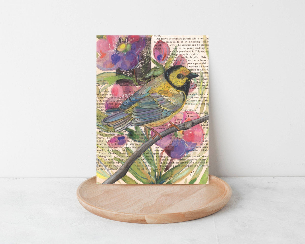 Wild Bird Cards Boxed Set of 9