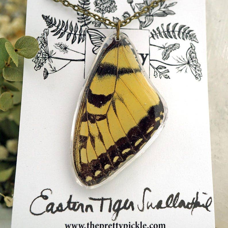 Eastern Tiger Swallowtail Wing Necklace