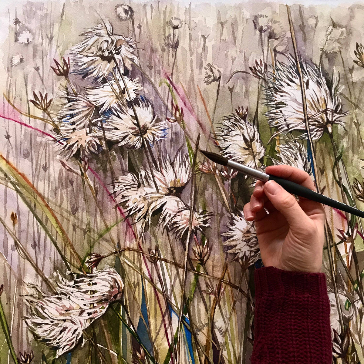Field of Cottongrass Watercolor Art Print
