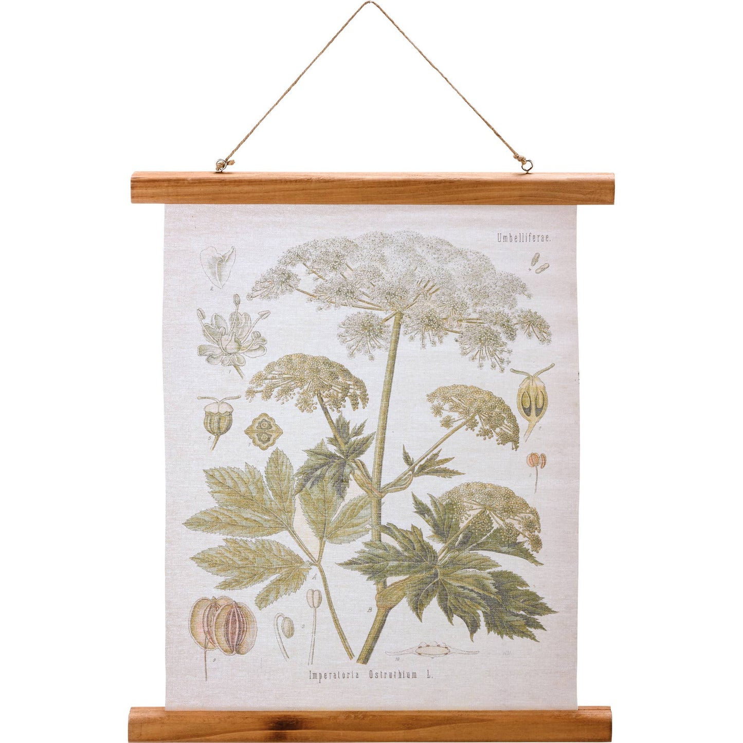 Queen Anne's Lace Floral Wall Decor