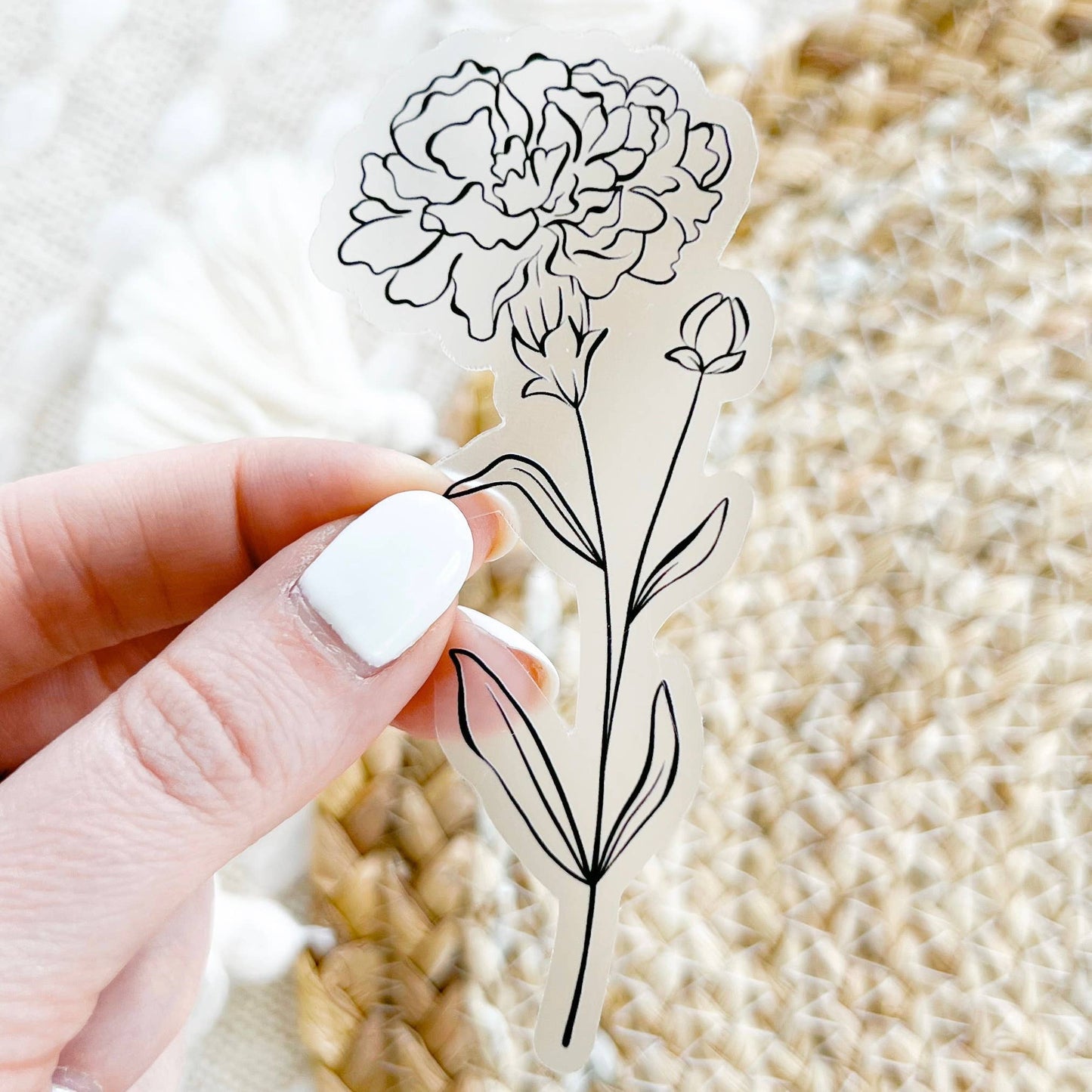 January Birth Month Flower: Carnation Sticker