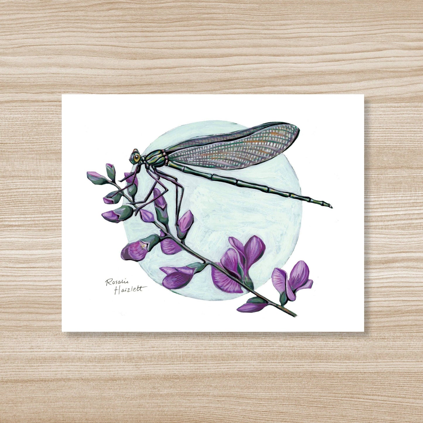 Jewelwing Damselfly - Fine Art Print