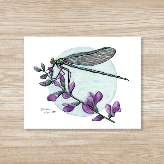 Jewelwing Damselfly - Fine Art Print