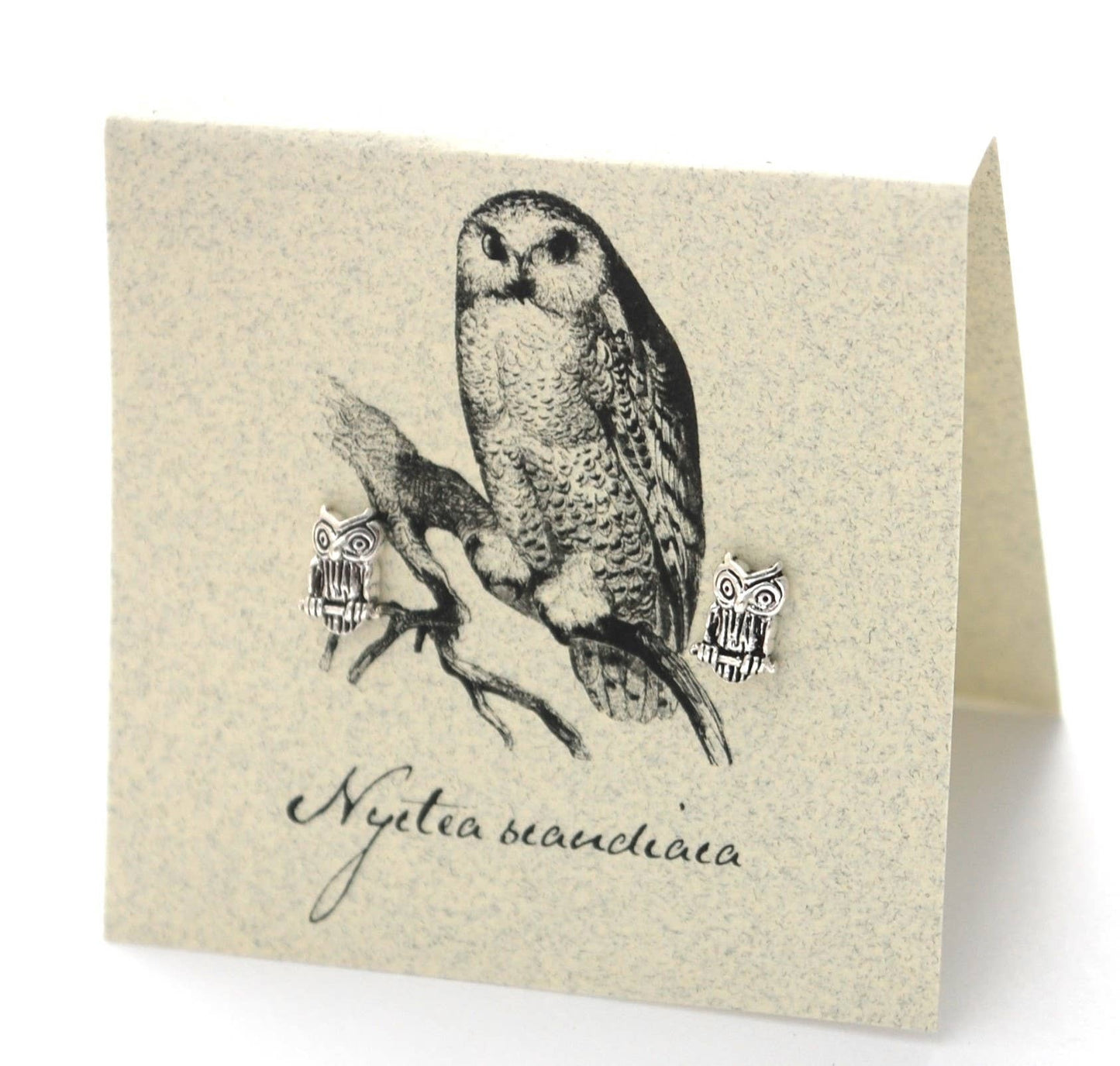 Natural History Collection