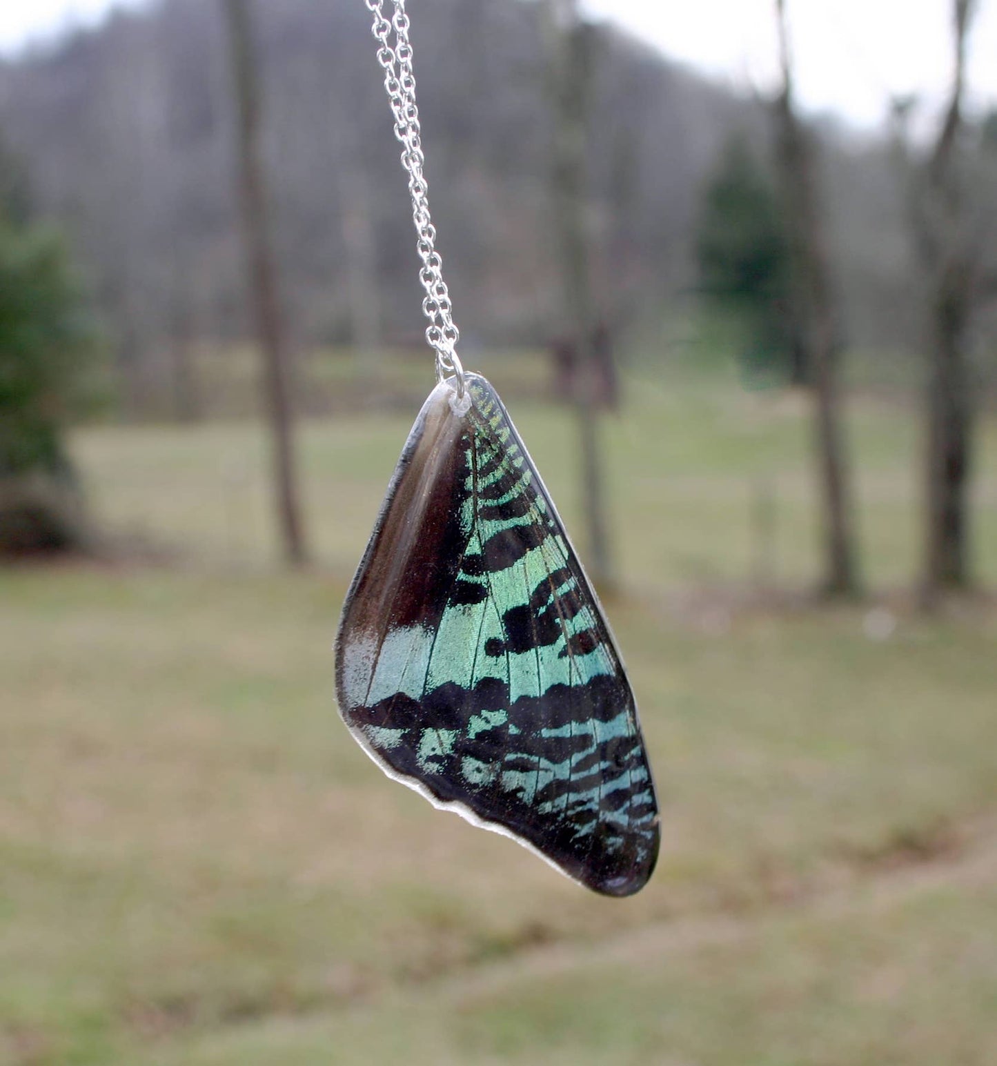 Sunset Moth Forewing Necklace