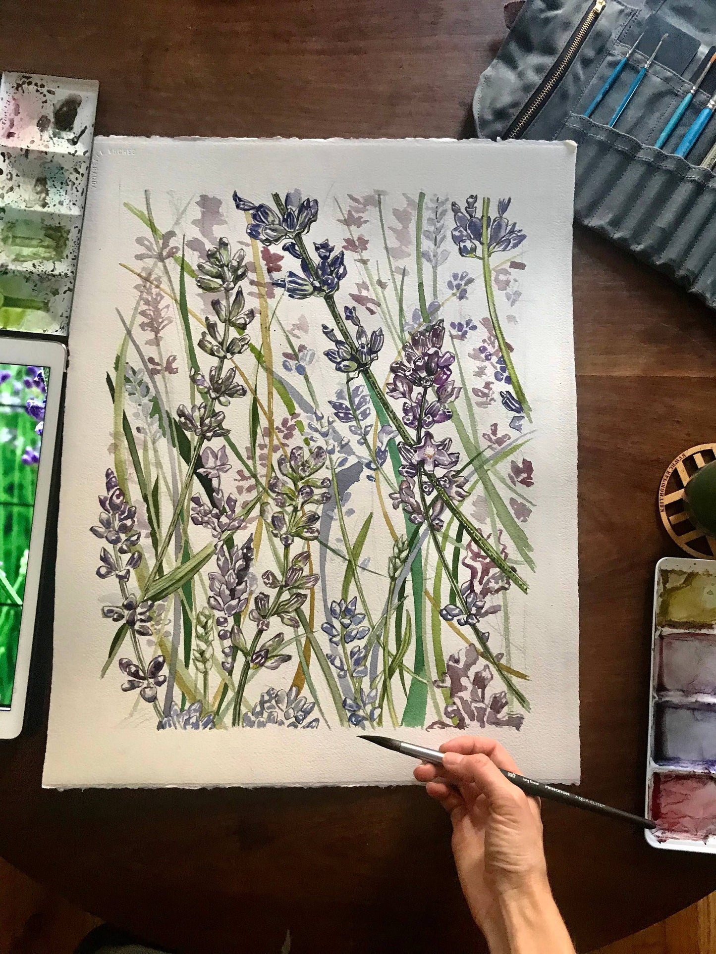 Field of Lavender Watercolor Art Print