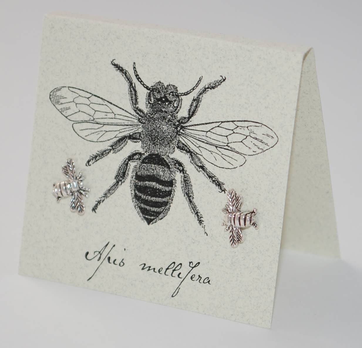 Natural History Collection