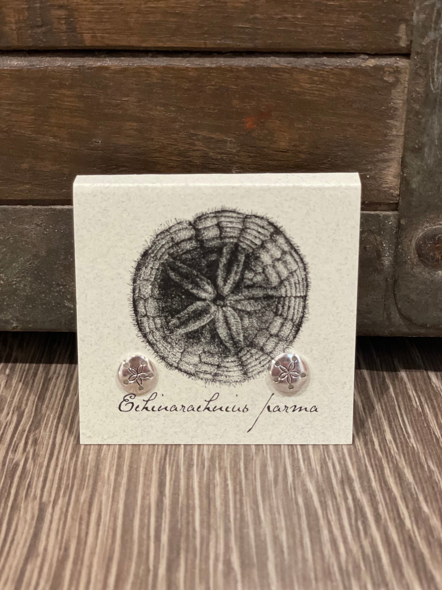 Natural History Collection