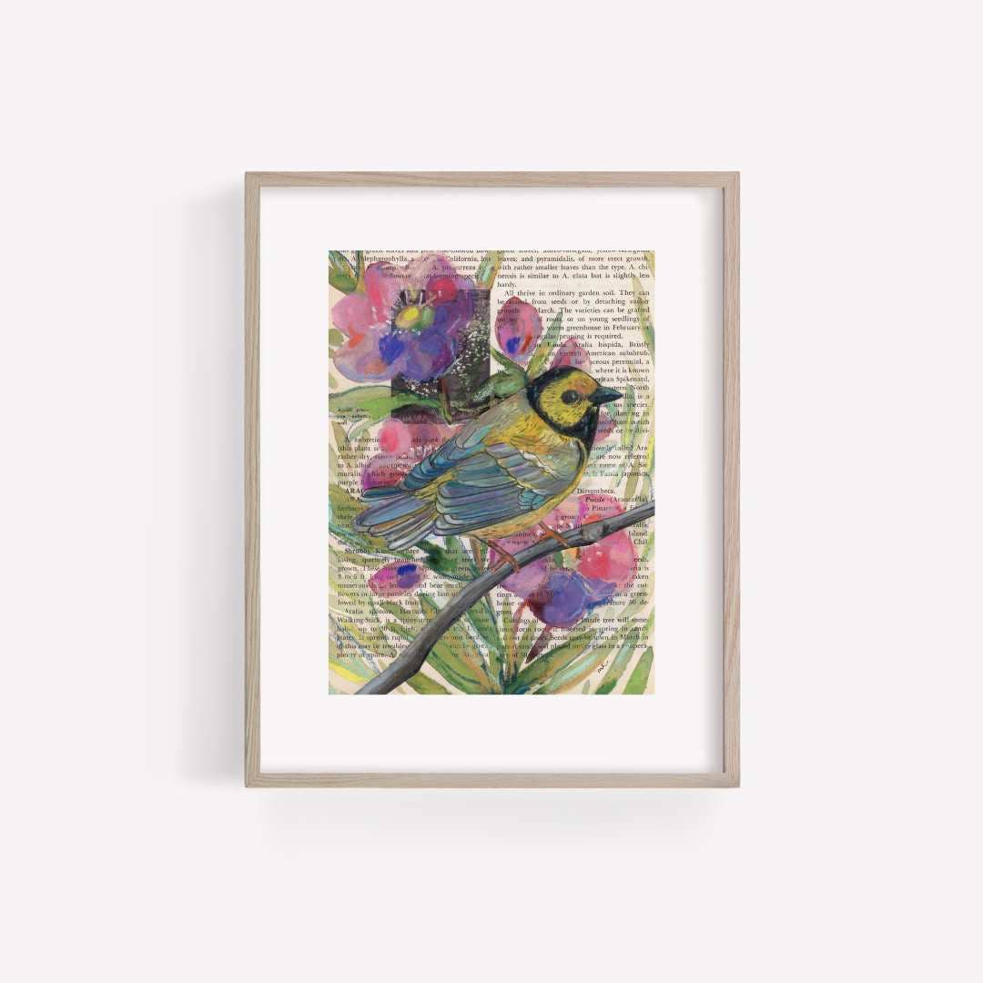Hooded Warbler Mixed Media Bird Print