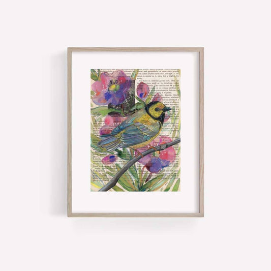 Hooded Warbler Mixed Media Bird Print