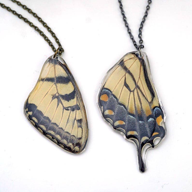 Eastern Tiger Swallowtail Wing Necklace