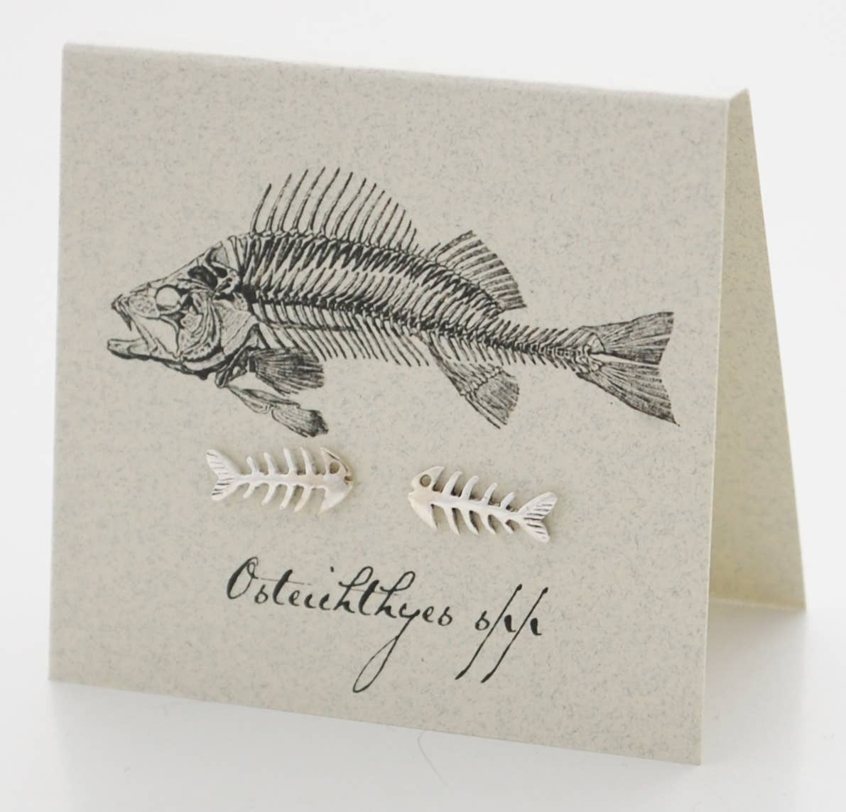 Natural History Collection