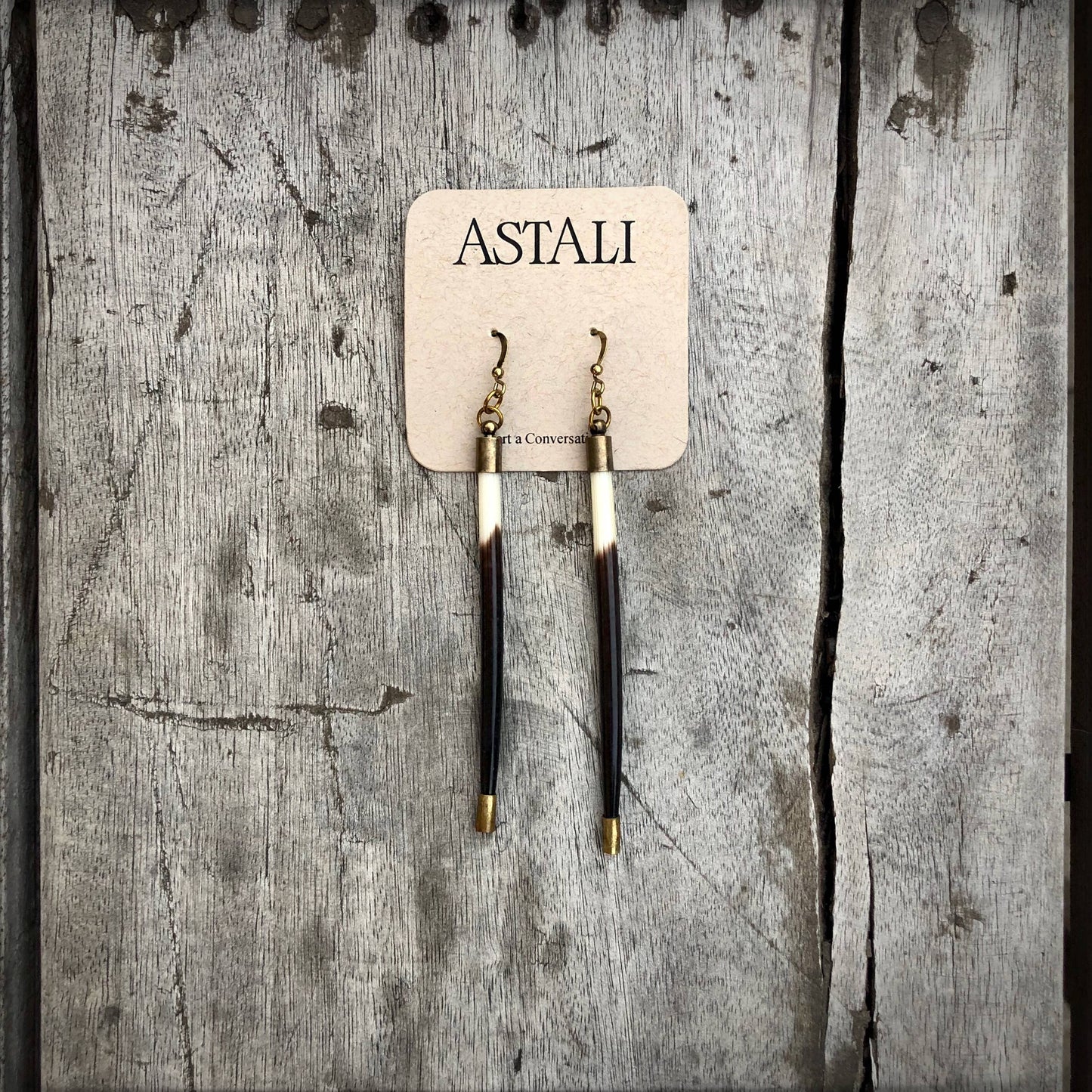 Porcupine Quill Earrings Black/Brown & Ivory, Brass