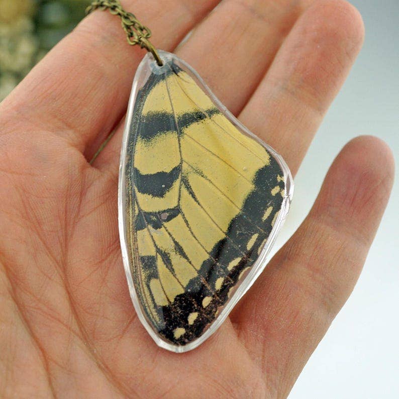Eastern Tiger Swallowtail Wing Necklace