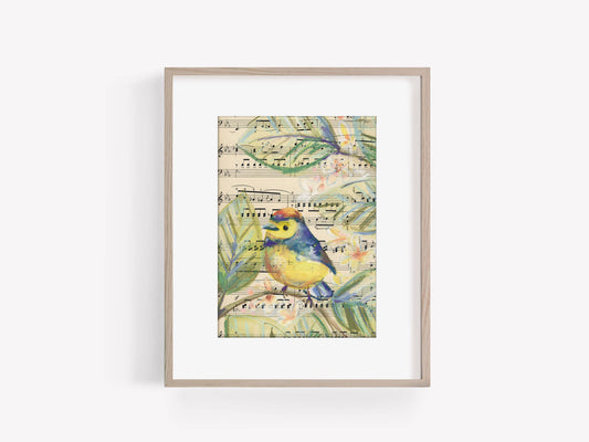 Collared Redstart Mixed Media Bird Print on Sheet Music, 5x7