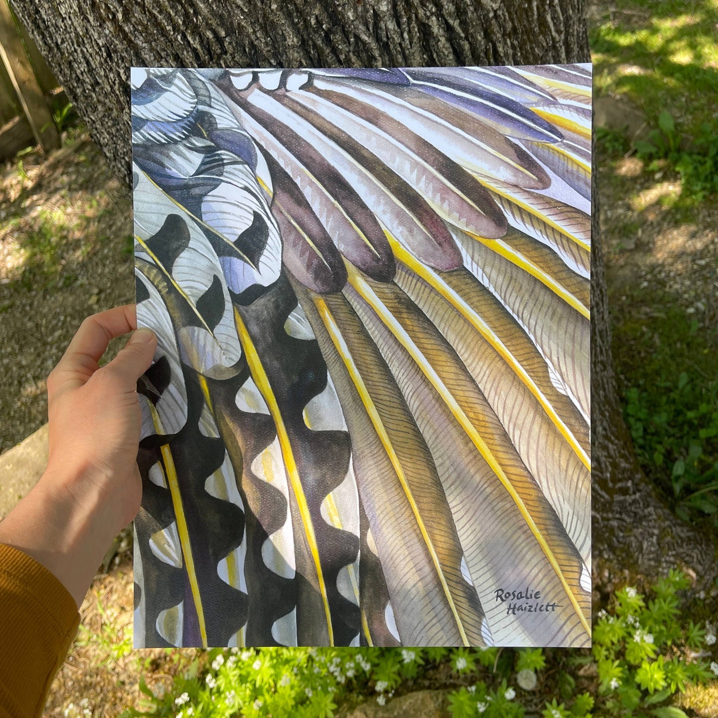Northern Flicker Wing - Watercolor Art Print