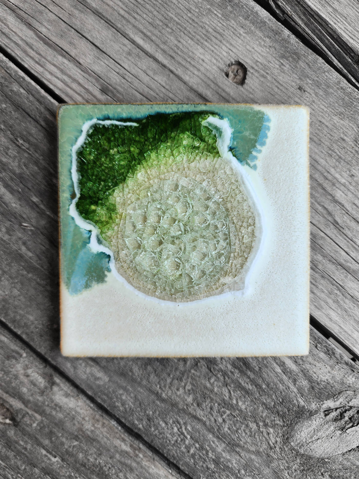 Coaster - Fern