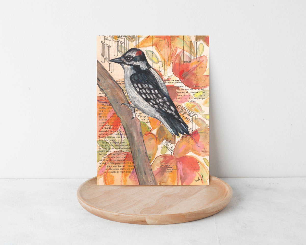 Wild Bird Cards Boxed Set of 9