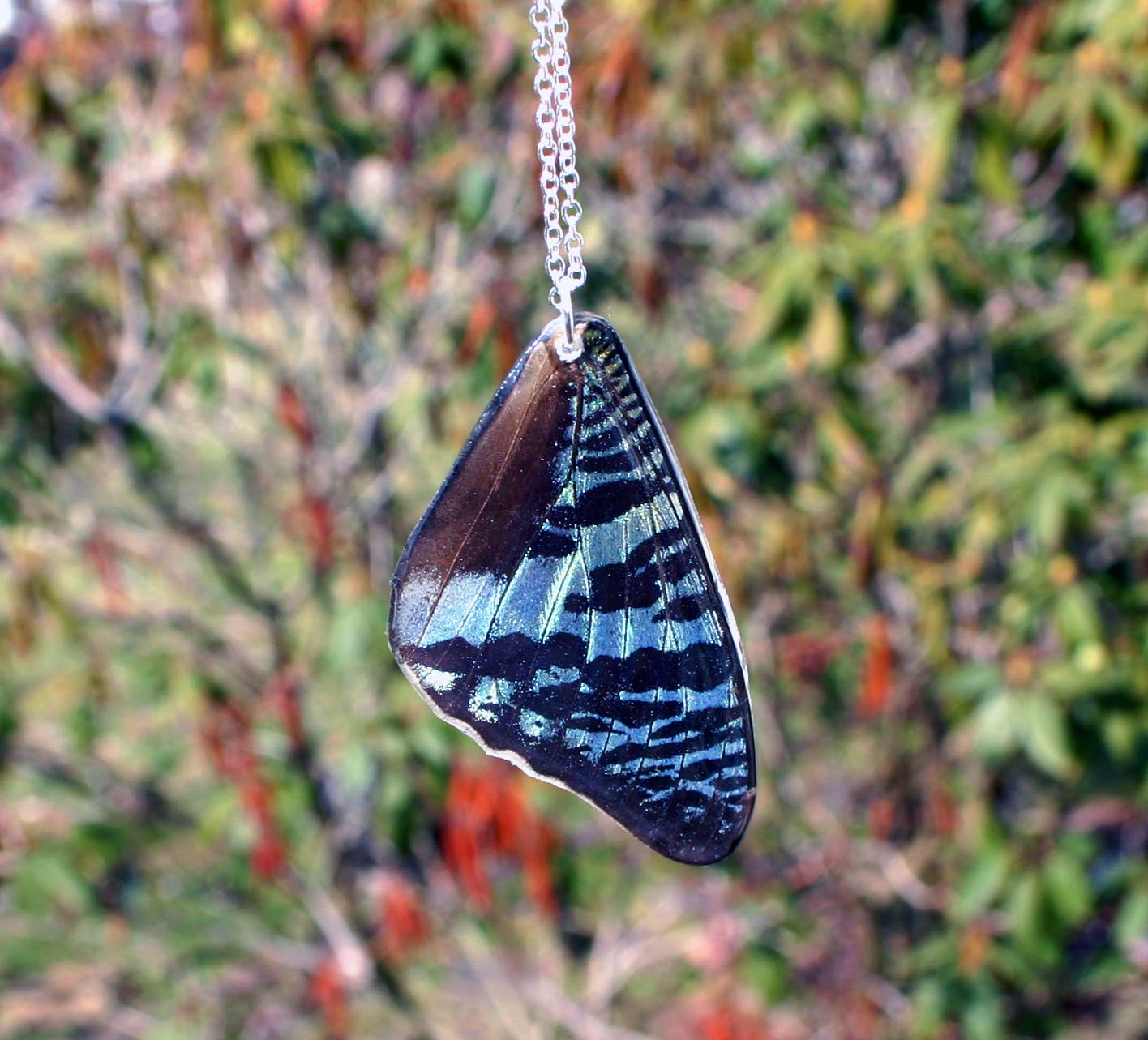 Sunset Moth Forewing Necklace