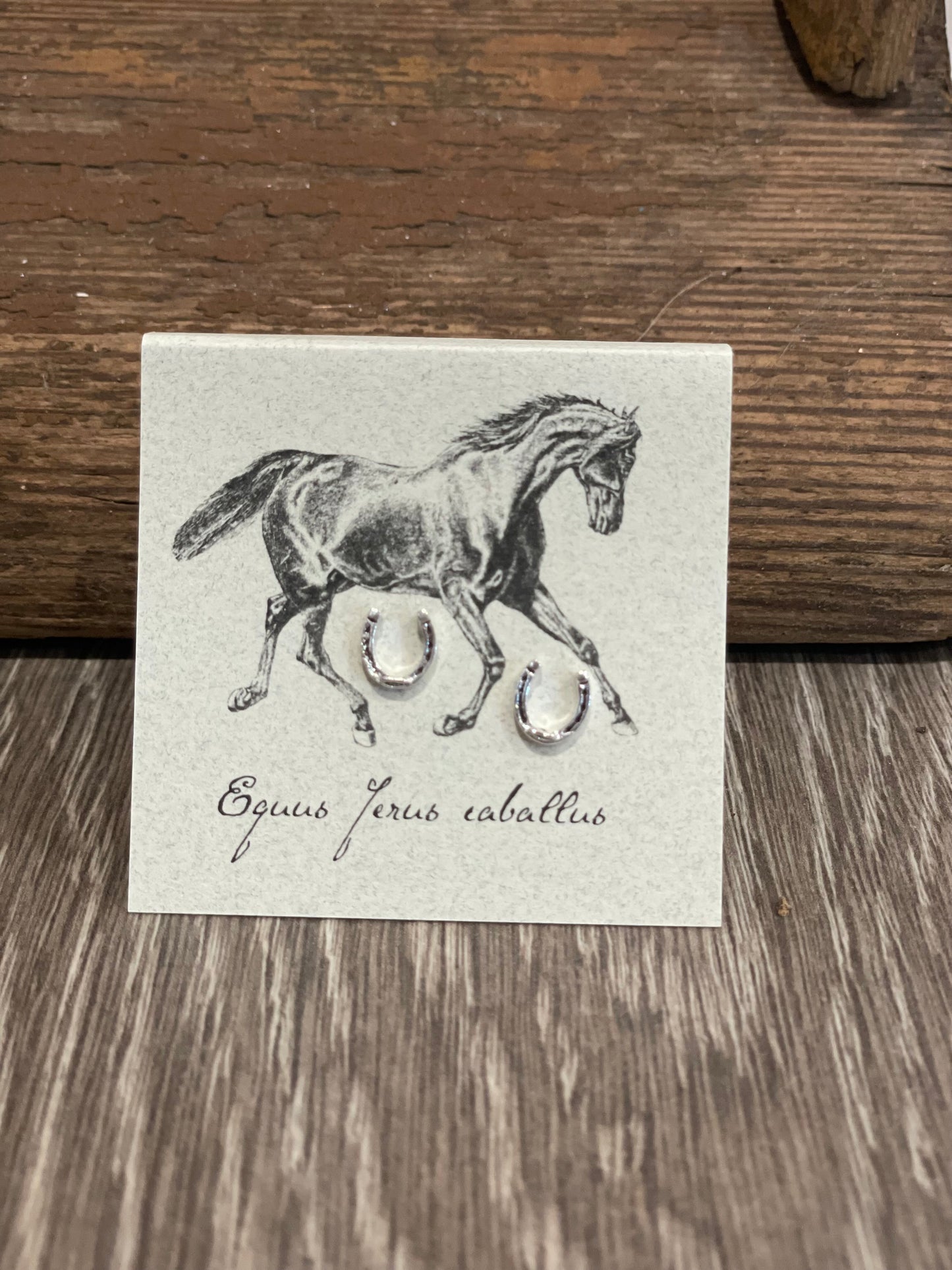 Natural History Collection