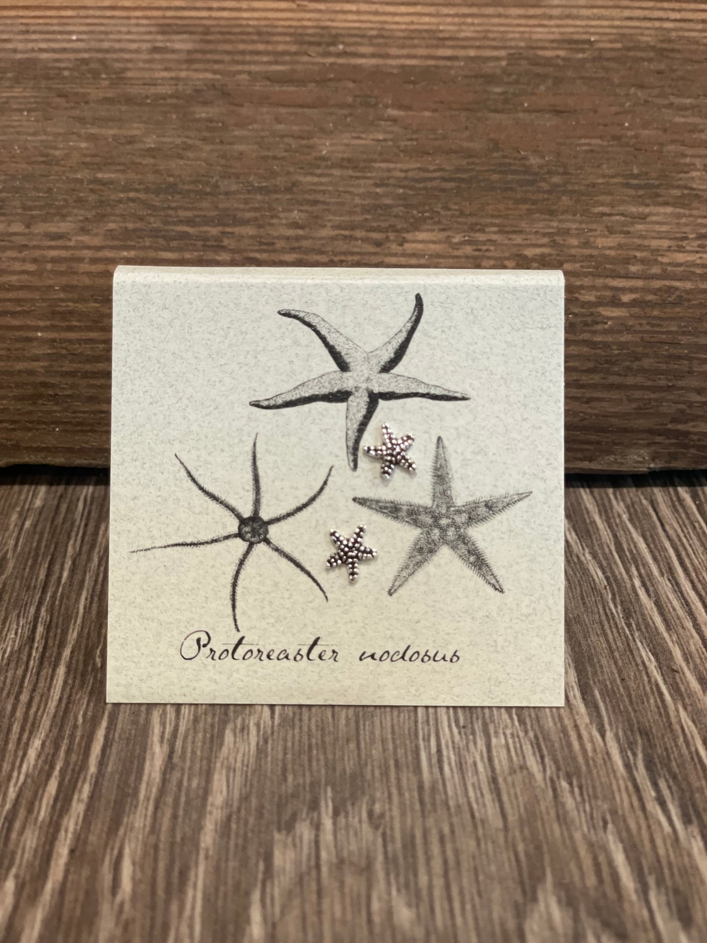 Natural History Collection