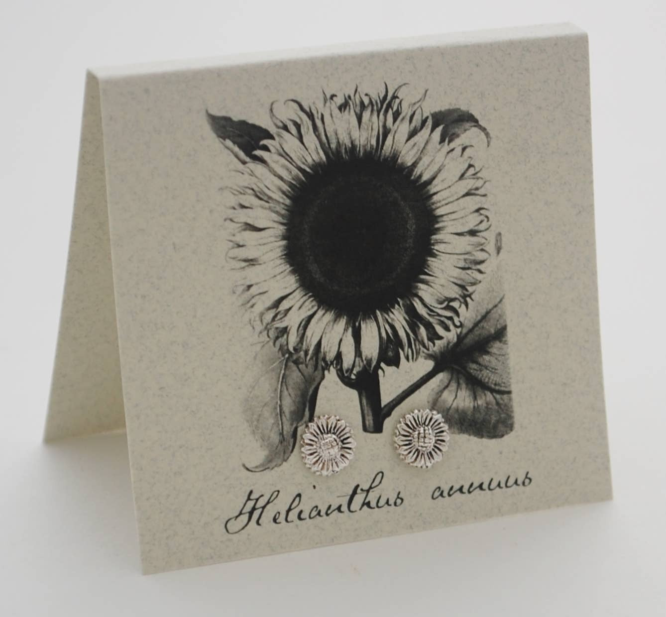 Natural History Collection