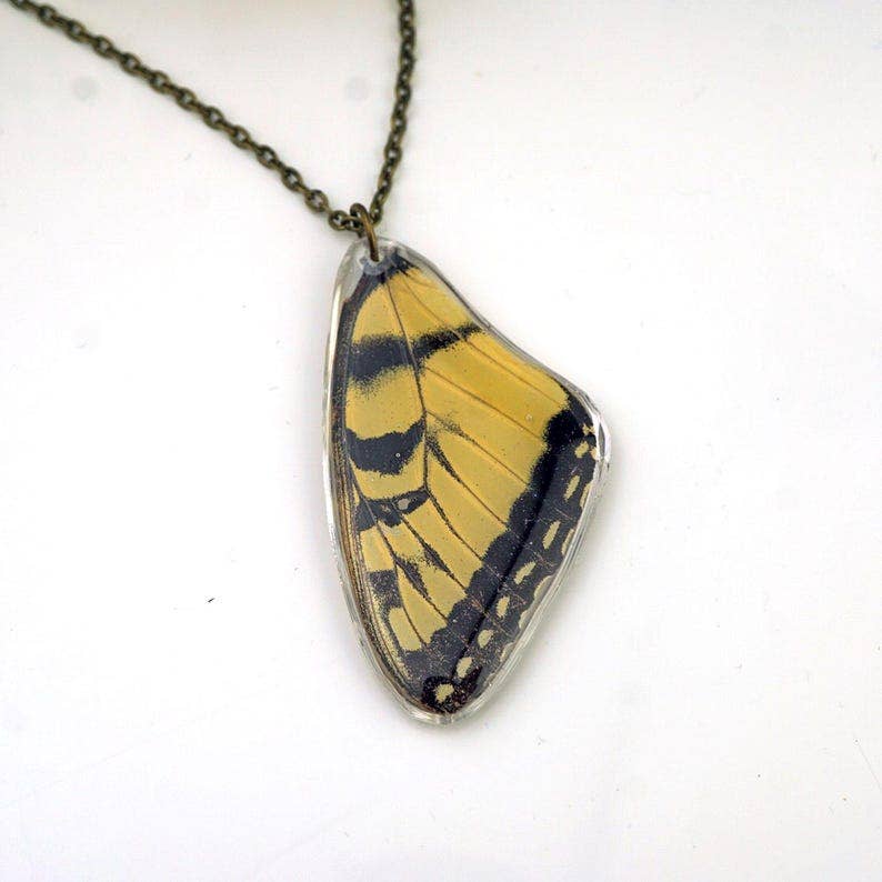 Eastern Tiger Swallowtail Wing Necklace