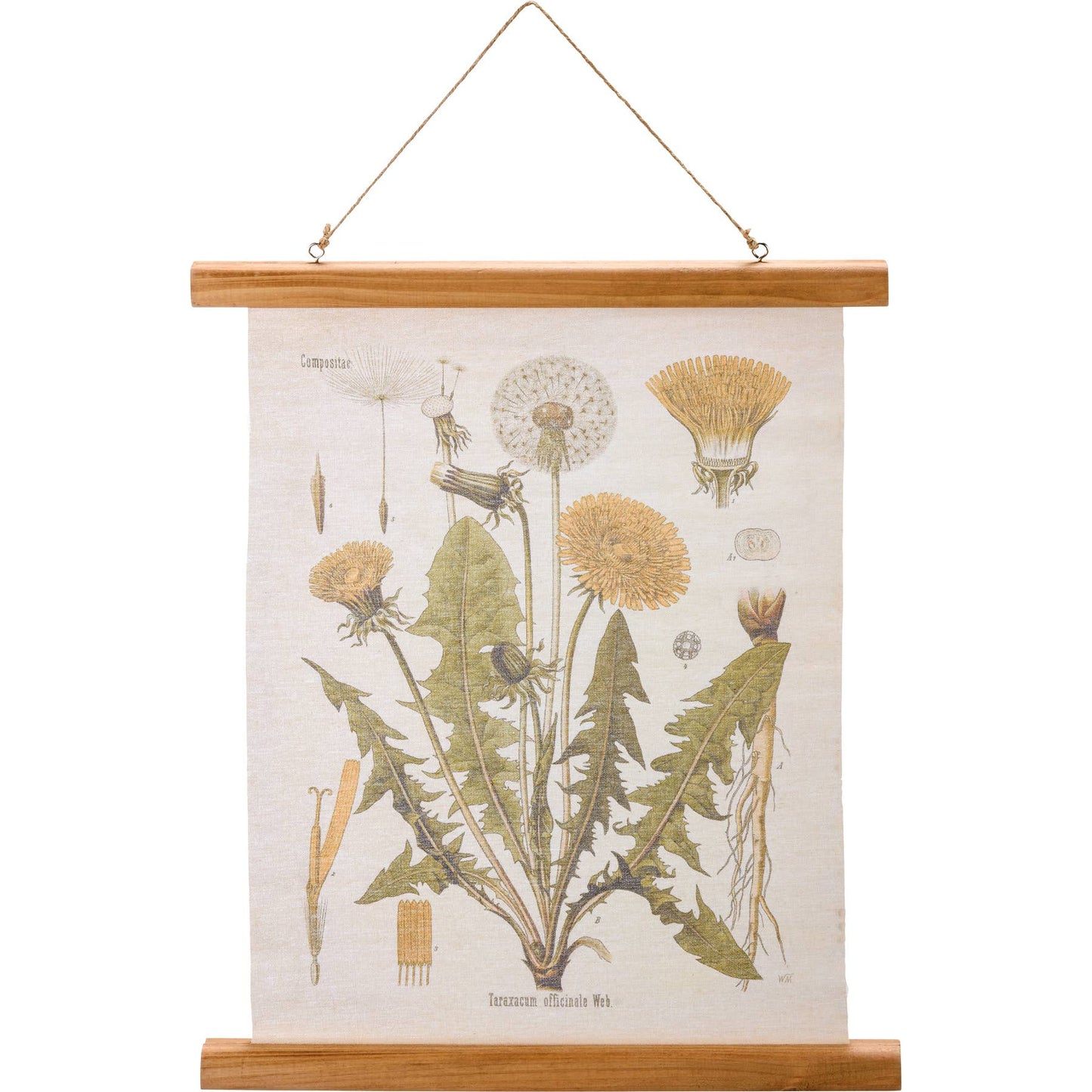 Dandelion Wall Decor